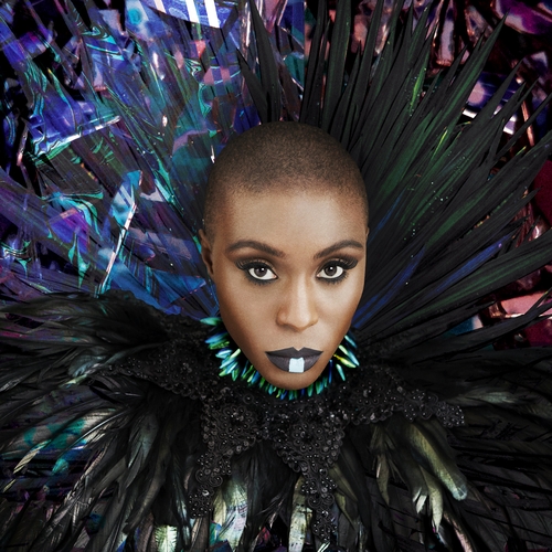 Couverture DREAMING ROOM de Laura MVULA