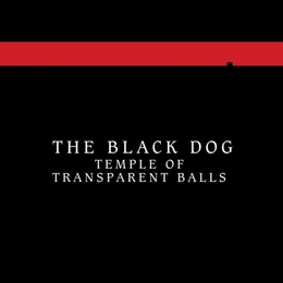 Image du média "TEMPLE OF TRANSPARENT BALLS de THE BLACK DOG"