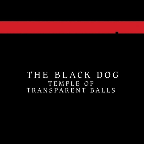 Couverture TEMPLE OF TRANSPARENT BALLS de THE BLACK DOG