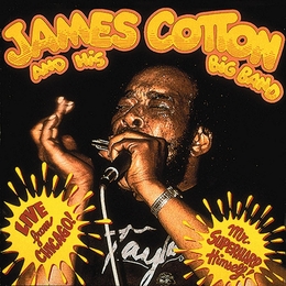 Image du média "LIVE FROM CHICAGO (MR SUPERHARP HIMSELF!) de James COTTON"