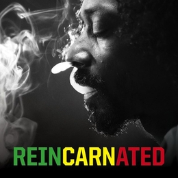 Image du média "REINCARNATED de DOGG SNOOP LION"