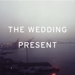 Image du média "SEARCH FOR PARADISE: SINGLES 2004-5 de THE WEDDING PRESENT"