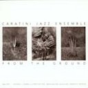 Image du média "FROM THE GROUND de Patrice CARATANI JAZZ ENSEMBLE"