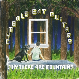 Image du média "WHY THERE ARE MOUNTAINS de CYMBALS EAT GUITARS"