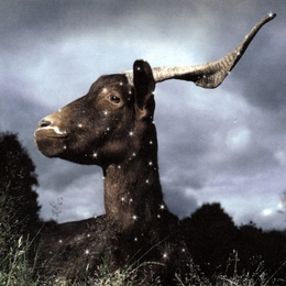 Image du média "LA BELLE INUTILE de TUE-LOUP"