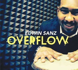 Image du média "OVERFLOW de Edwin SANZ"