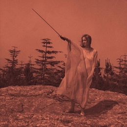 Image du média "II de UNKNOWN MORTAL ORCHESTRA"