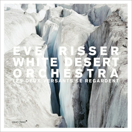 Image du média "LES DEUX VERSANTS SE REGARDENT de Eve RISSER & WHITE DESERT ORCHESTRA"