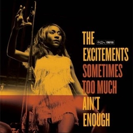 Image du média "SOMETIMES de THE EXCITEMENTS"