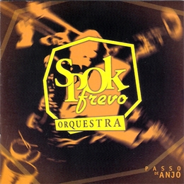 Image du média "PASSO DE ANJO de SPOK FREVO ORQUESTRA"