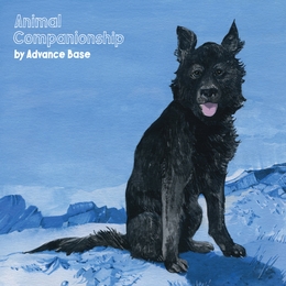 Image du média "ANIMAL COMPANIONSHIP de ADVANCE BASE"