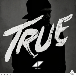 Image du média "TRUE de AVICII"