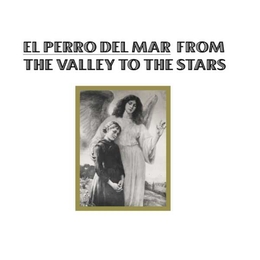 Image du média "FROM THE VALLEY TO THE STARS de EL PERRO DEL MAR"