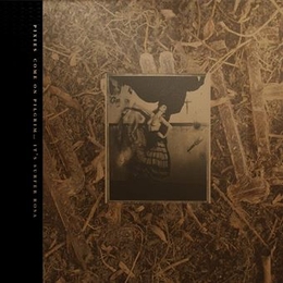 Image du média "COME ON PILGRIM... IT'S SURFER ROSA de PIXIES"