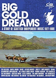 Image du média "BIG GOLD DREAMS (A STORY OF SCOTTISH INDEPENDENT MUSIC)"