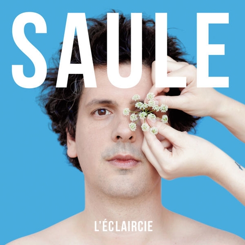 Couverture L'ÉCLAIRCIE de SAULE