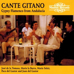 Image du média "CANTE GITANO: GYPSY FLAMENCO FROM ANDALOUSIA"