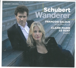 Image du média "WANDERER de Franz SCHUBERT"