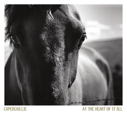 Image du média "AT THE HEART OF IT ALL de CAPERCAILLIE"