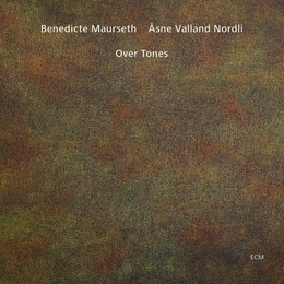 Image du média "OVER TONES de Benedicte MAURSETH AND ASNE VALLAND NORDLI"