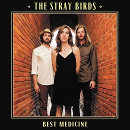 Image du média "BEST MEDICINE de THE STRAY BIRDS"