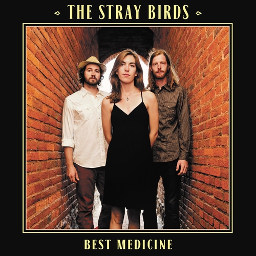 Couverture BEST MEDICINE de THE STRAY BIRDS