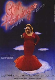 Image du média "PINK FLAMINGOS de John WATERS"