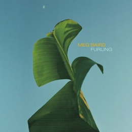 Image du média "FURLING de Meg BAIRD"