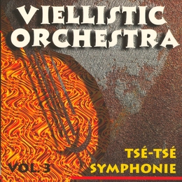 Image du média "TSE-TSE SYMPHONIE de VIELLISTIC ORCHESTRA"