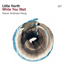 Image du média "WHILE YOU WAIT de LITTLE NORTH"