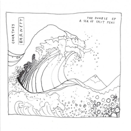 Image du média "THE DOUBLE EP: A SEA OF SPLIT SEA de Courtney BARNETT"