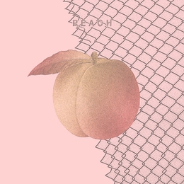 Image du média "PEACH de CULTURE ABUSE"