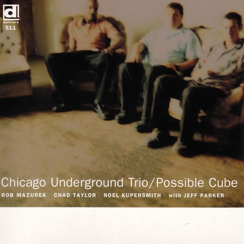 Couverture POSSIBLE CUBE de CHICAGO UNDERGROUND TRIO