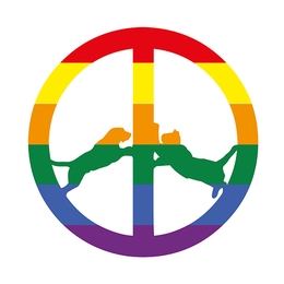 Image du média "RAINBOW EDITION de HYPE WILLIAMS"