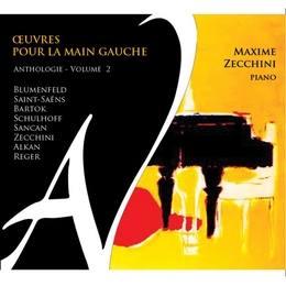 Image du média "ZECCHINI - OEUVRES POUR LA MAIN GAUCHE - ANTHOLOGIE: VOL.2"