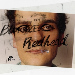 Image du média "MASCULIN FÉMININ de BLONDE REDHEAD"