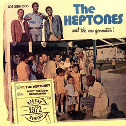 Image du média "MEET THE NOW GENERATION! de THE HEPTONES"