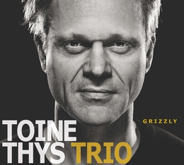 Image du média "GRIZZLY de Toine THYS TRIO"