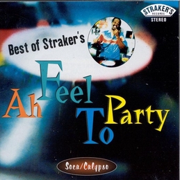 Image du média "BEST OF STRAKER'S: AH FEEL TO PARTY"