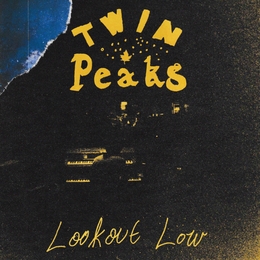 Image du média "LOOKOUT NOW de TWIN PEAKS"