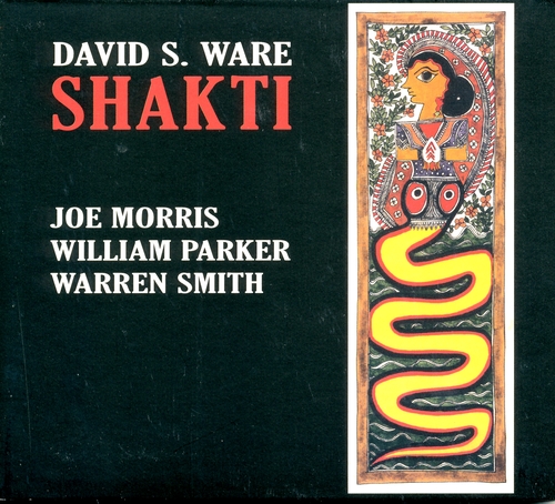 Couverture SHAKTI de David S. WARE