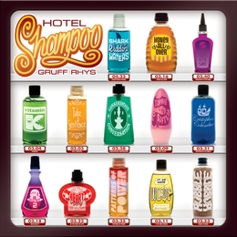 Image du média "HOTEL SHAMPOO de Gruff RHYS"