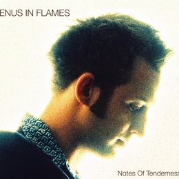 Image du média "NOTES OF TENDERNESS de VENUS IN FLAMES"