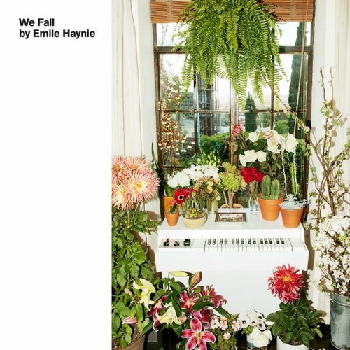 Couverture WE FALL de Emile HAYNIE