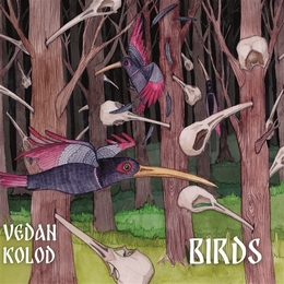 Image du média "BIRDS de VEDAN KOLOD"