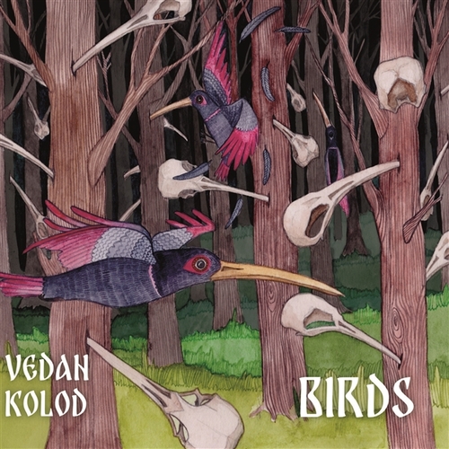 Couverture BIRDS de VEDAN KOLOD