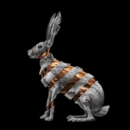 Image du média "JACKRABBIT de SAN FERMIN"