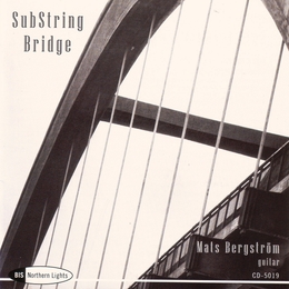 Image du média "SUBSTRING BRIDGE"