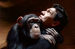 Image du média "JE DESCENDS DU SINGE de Marc LAVOINE"