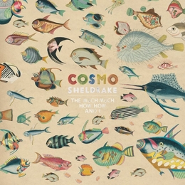 Image du média "THE MUCH MUCH HOW HOW AND I de Cosmo SHELDRAKE"